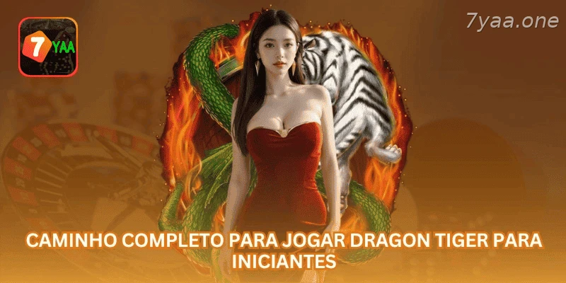 Informações sobre Dragon Tiger, cashback, bônus e controle de conta no Brasil